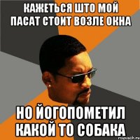 Кажеться што мой пасат стоит возле окна Но йогопометил какой то собака