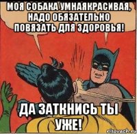 Моя собака умнаякрасивая, надо обязательно повязать для здоровья! Да заткнись ты уже!