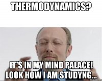 THERMODYNAMICS? IT'S IN MY MIND PALACE! LOOK HOW I AM STUDYNG...