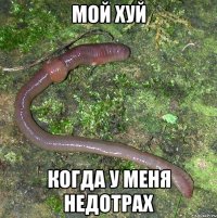 мой хуй когда у меня недотрах