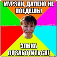 Мурзик, далеко не поедешь! Элька позаботиться!