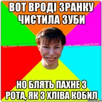 Вот вроді зранку чистила зуби Но блять пахне з рота, як з хліва кобил