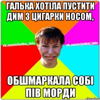 Галька хотіла пустити дим з цигарки носом, обшмаркала собі пів морди