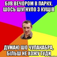 був вечором в парку, шось шугнуло з кущів думаю шо чупакабра, більш не хожу туди