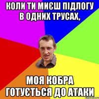 коли ти миєш підлогу в одних трусах, моя кобра готується до атаки