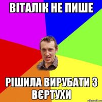 віталік не пише рішила вирубати з вєртухи