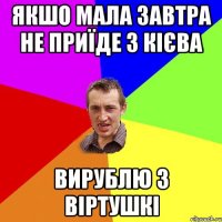 якшо мала завтра не приїде з кієва вирублю з віртушкі