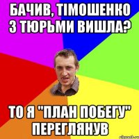 Бачив, тiмошенко з тюрьми вишла? то я "план побегу" переглянув