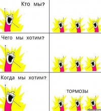   ТОРМОЗЫ