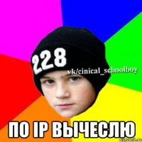  по ip вычеслю