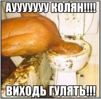 аууууууу Колян!!!! Виходь гулять!!!