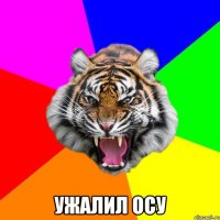  УЖАЛИЛ ОСУ