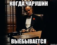 Когда Чарушин выёбывается