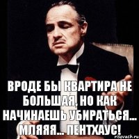 Вроде бы квартира не большая, но как начинаешь убираться... мляяя... пентхаус!