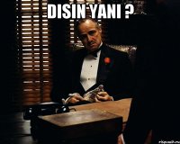 disin yani ? 