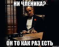 Ни членика? он то как раз есть