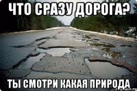 ЧТО СРАЗУ ДОРОГА? ТЫ СМОТРИ КАКАЯ ПРИРОДА