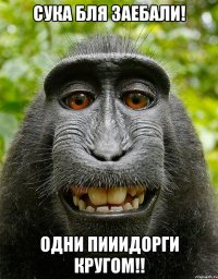 Сука бля заебали! Одни пииидорги кругом!!