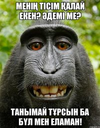 Менің тісім қалай екен? әдемі ме? Танымай тұрсын ба бүл мен Еламан!