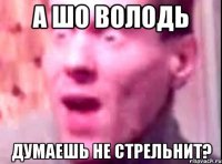 А ШО ВОЛОДЬ ДУМАЕШЬ НЕ СТРЕЛЬНИТ?