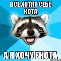 все хотят себе кота а я хочу енота