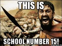 This is School Number 15!