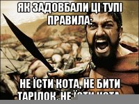 Як задовбали ці тупі правила: не їсти кота, не бити тарілок, не їсти кота.