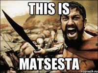 THIS IS MATSESTA