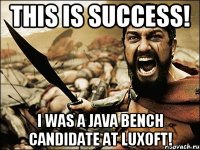 this is success! I was a Java bench candidate at Luxoft!