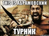 this is абрамовский турник