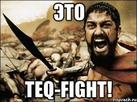 Это TEQ-FIGHT!