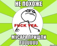 Не похоже Мусара пришли Fuuuuuu