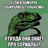 если в каморке собирались только мы, откуда она знает про сериалы?