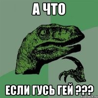 а что если гусь гей ???