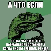 А что если когда мы бухие это нормальное состояние, а когда якобы трезвые, то нет?