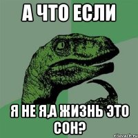 А что если Я не я,а жизнь это сон?