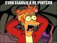 суки ебаные,а не учителя 