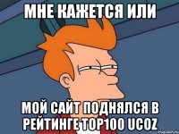 МНЕ КАЖЕТСЯ ИЛИ МОЙ САЙТ ПОДНЯЛСЯ В РЕЙТИНГЕ TOP100 UCOZ