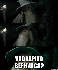  VodkaPivo вернулся?