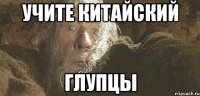 учите китайский глупцы