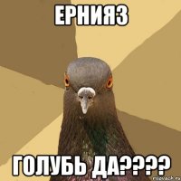 Ернияз Голубь да????