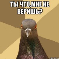 Ты что,мне не веришь? 