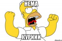 нема куриии