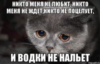 никто меня не любит, никто меня не ждет,никто не поцелует, и водки не нальет