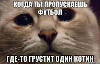 Когда ты пропускаешь футбол где-то грустит один котик