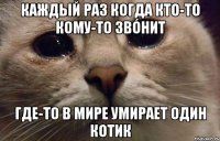 каждый раз когда кто-то кому-то звÓнит где-то в мире умирает один котик