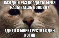 Каждый раз когда ты меня называешь GOODBOY Где то в мире грустит один котик