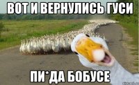 вот и вернулись гуси пи*да бобусе