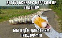 Вы тут Аскера с Бэросом не видели? Мы идём давать им писдофф!!!