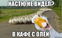 Настю не видел? в кафе с Олей.